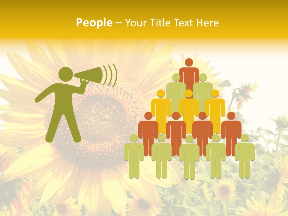 Season Flower Growth PowerPoint Template