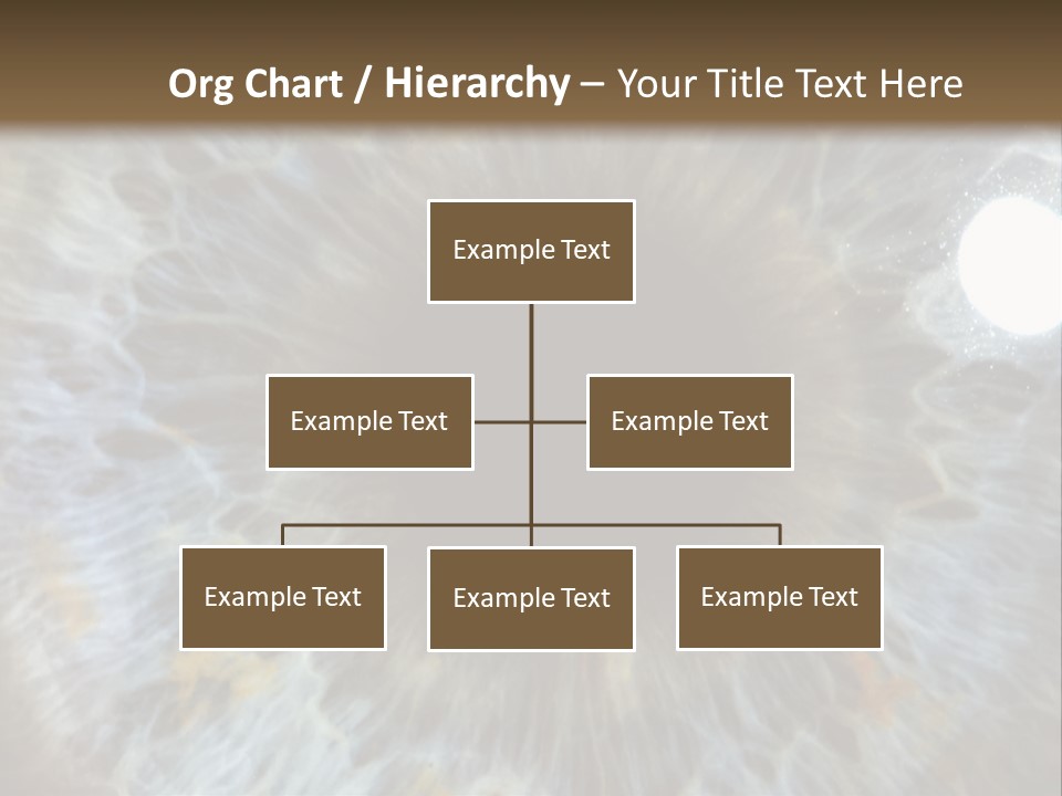 A Close Up View Of A Blue Eye PowerPoint Template