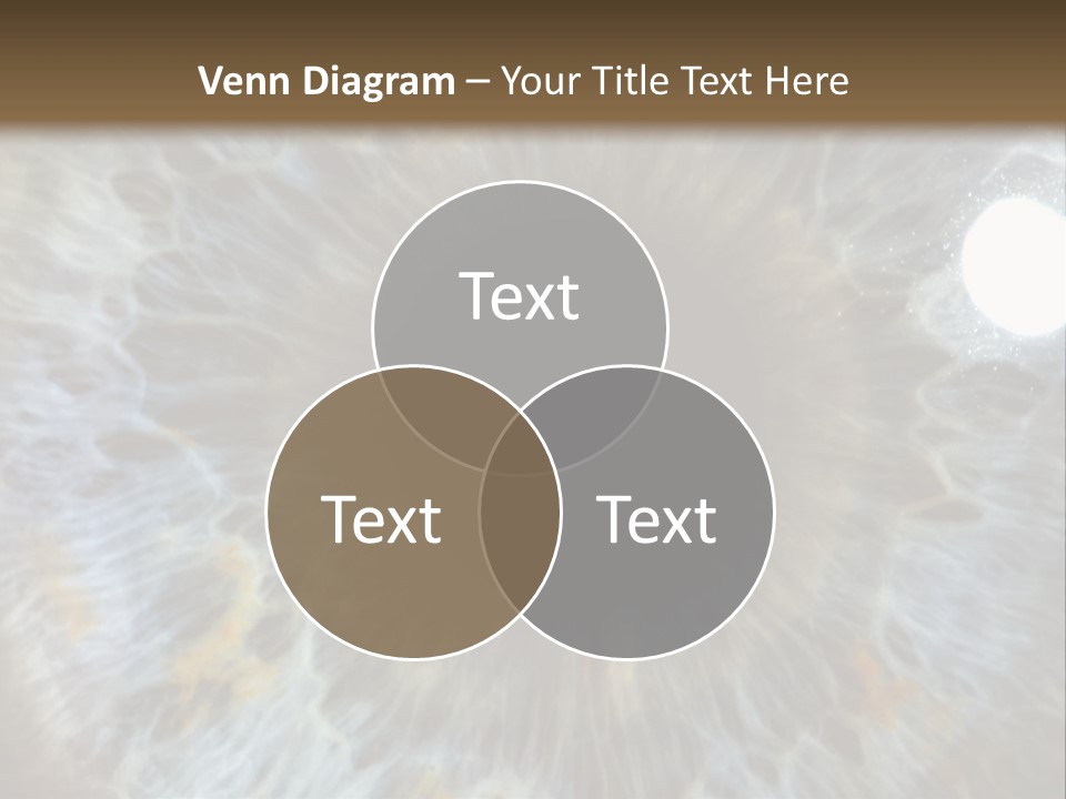 A Close Up View Of A Blue Eye PowerPoint Template