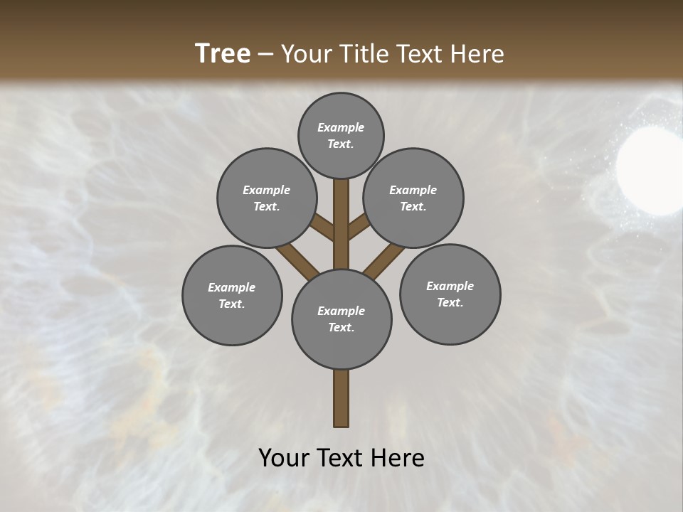 A Close Up View Of A Blue Eye PowerPoint Template