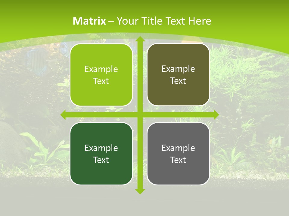 Underwater Fish Bright PowerPoint Template