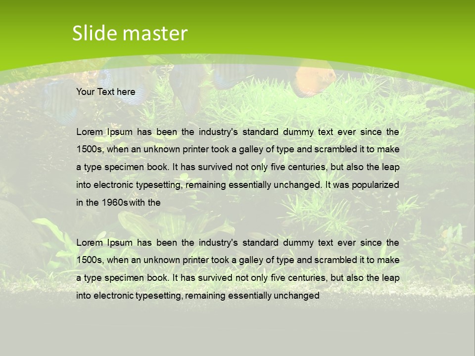 Underwater Fish Bright PowerPoint Template