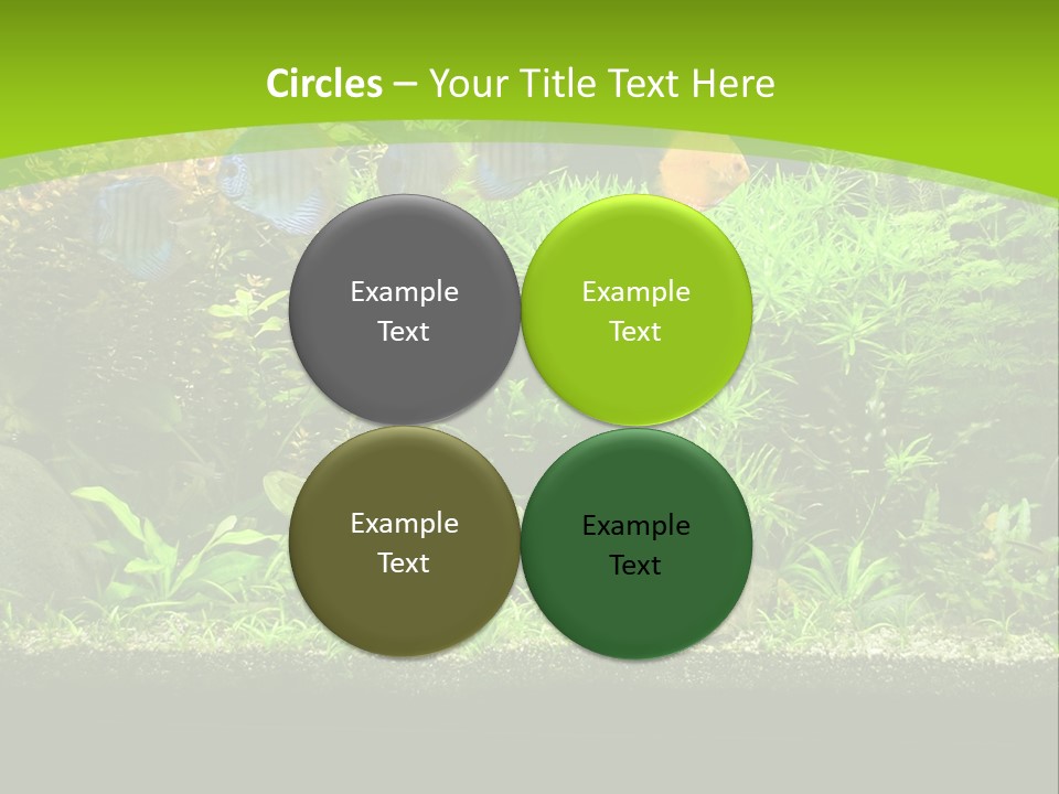 Underwater Fish Bright PowerPoint Template