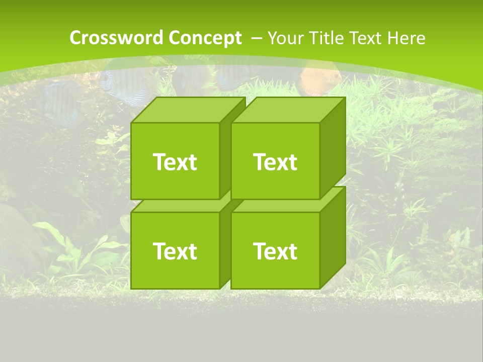 Underwater Fish Bright PowerPoint Template