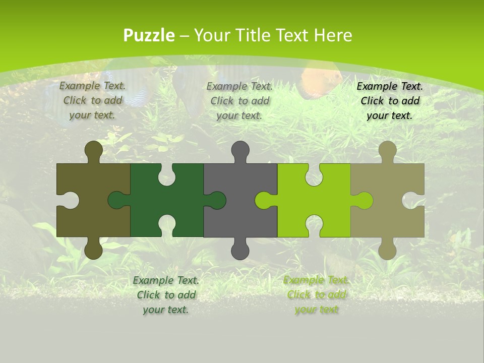 Underwater Fish Bright PowerPoint Template