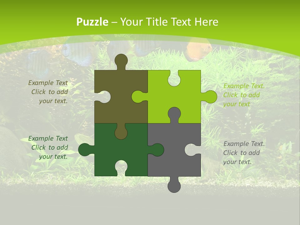 Underwater Fish Bright PowerPoint Template