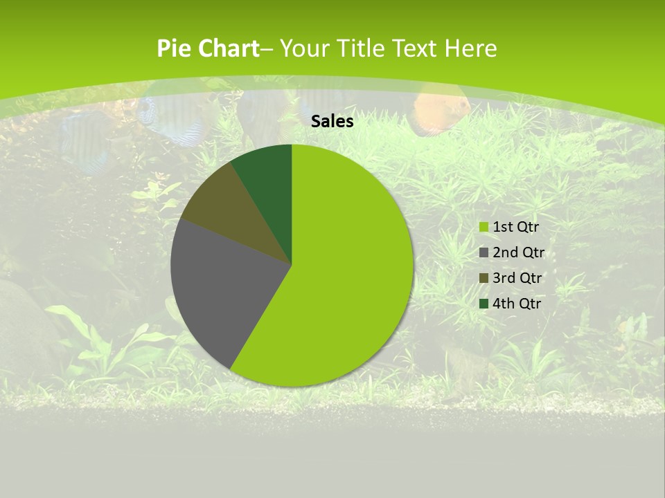 Underwater Fish Bright PowerPoint Template