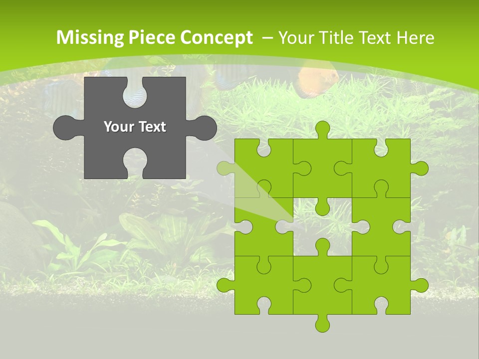 Underwater Fish Bright PowerPoint Template