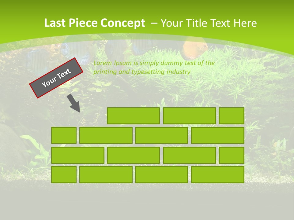 Underwater Fish Bright PowerPoint Template