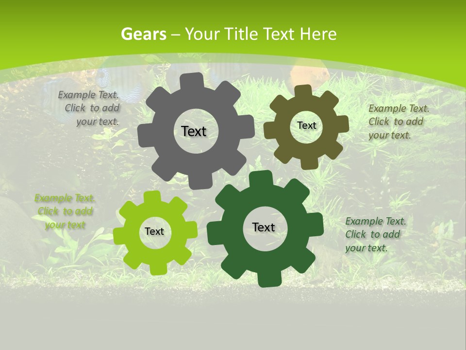 Underwater Fish Bright PowerPoint Template