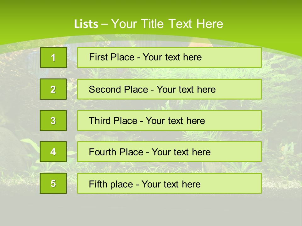 Underwater Fish Bright PowerPoint Template