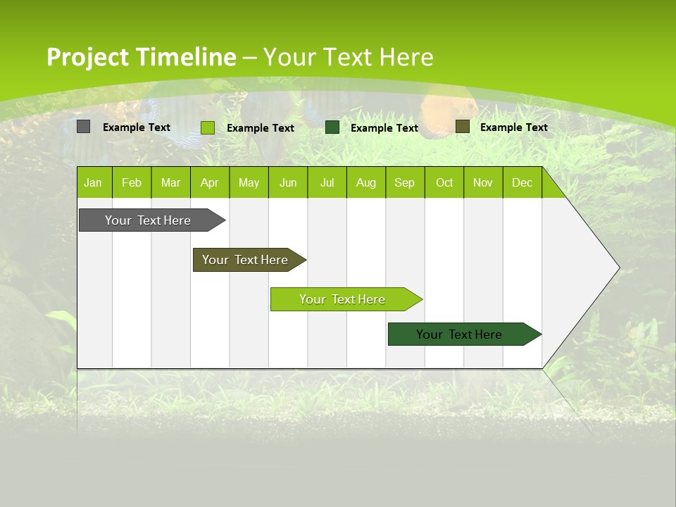 Underwater Fish Bright PowerPoint Template