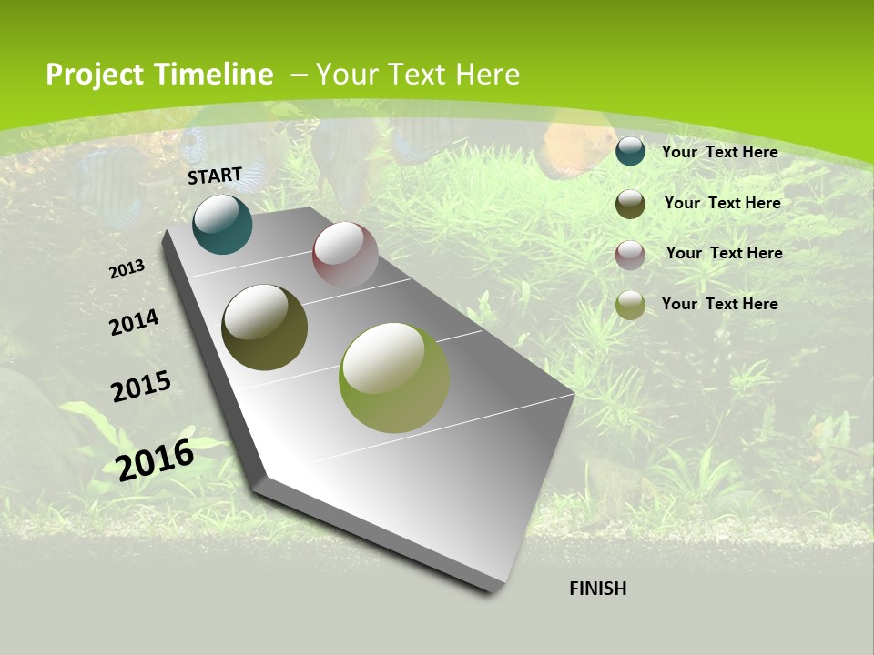 Underwater Fish Bright PowerPoint Template