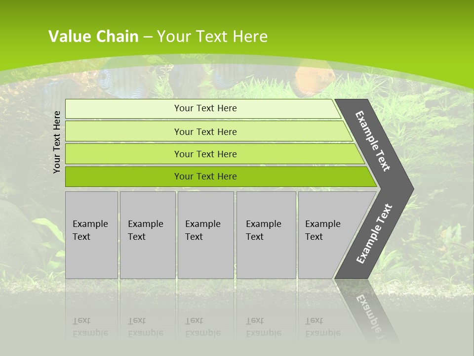 Underwater Fish Bright PowerPoint Template