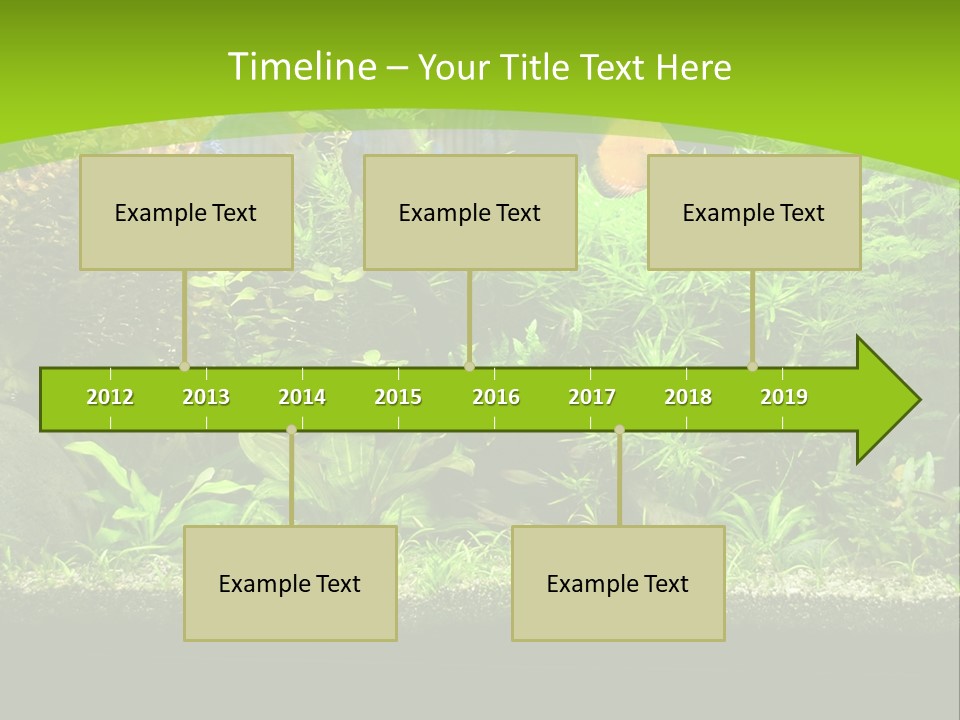 Underwater Fish Bright PowerPoint Template