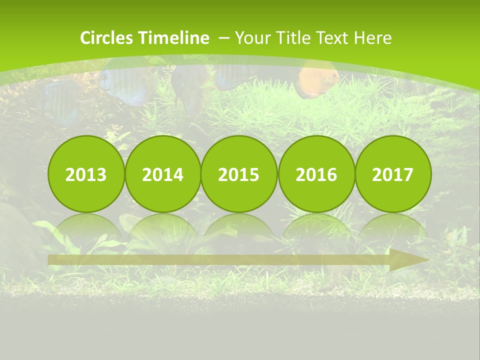 Underwater Fish Bright PowerPoint Template