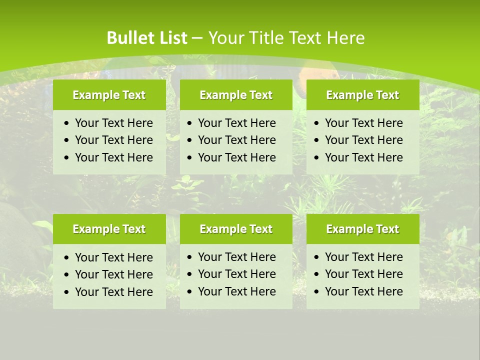 Underwater Fish Bright PowerPoint Template