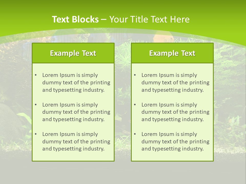 Underwater Fish Bright PowerPoint Template