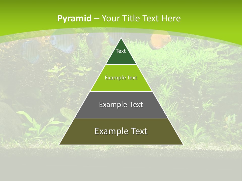 Underwater Fish Bright PowerPoint Template