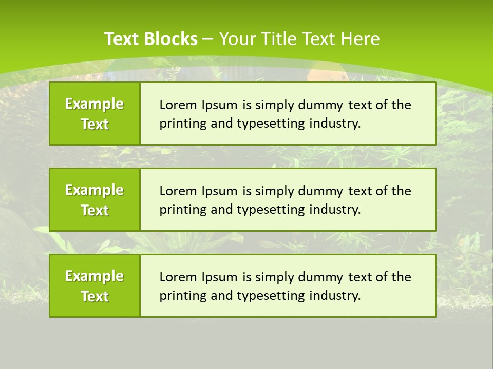 Underwater Fish Bright PowerPoint Template