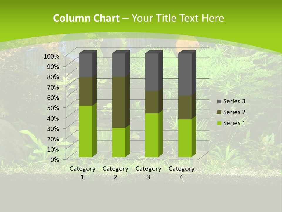 Underwater Fish Bright PowerPoint Template