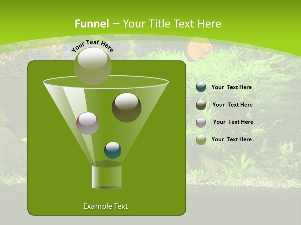 Underwater Fish Bright PowerPoint Template