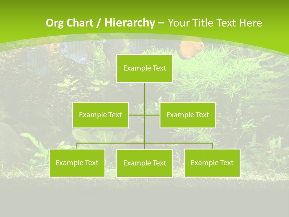 Underwater Fish Bright PowerPoint Template