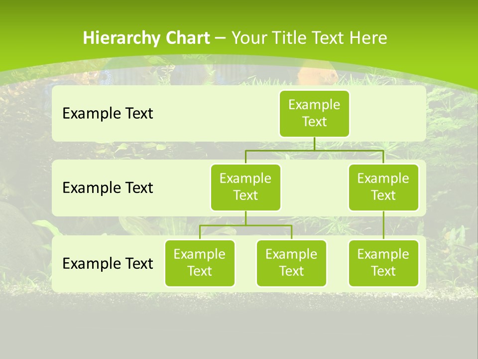 Underwater Fish Bright PowerPoint Template