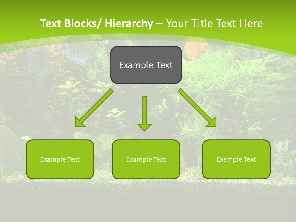 Underwater Fish Bright PowerPoint Template