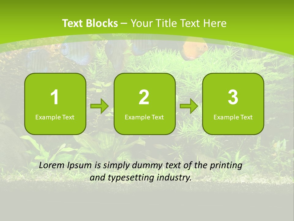 Underwater Fish Bright PowerPoint Template