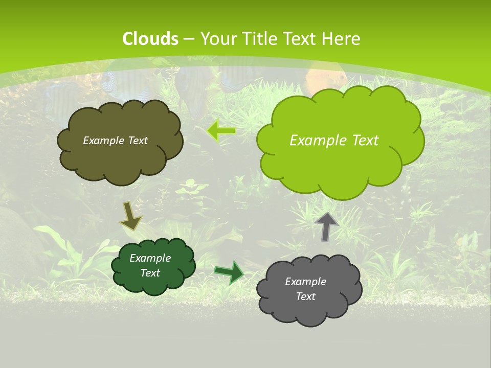 Underwater Fish Bright PowerPoint Template