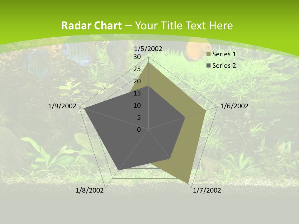 Underwater Fish Bright PowerPoint Template