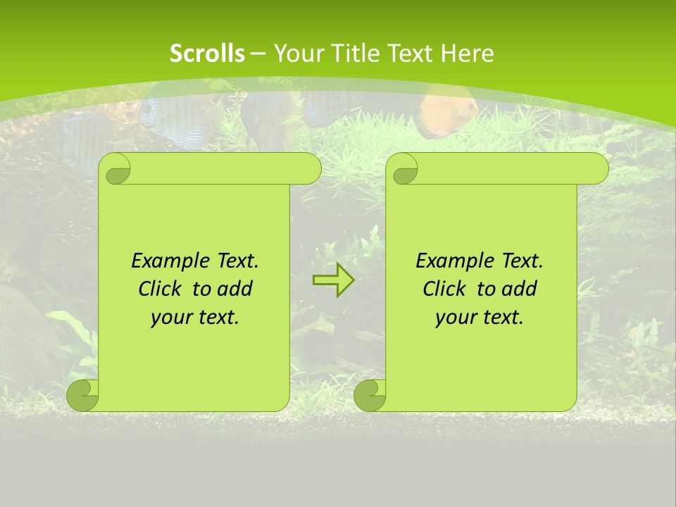 Underwater Fish Bright PowerPoint Template