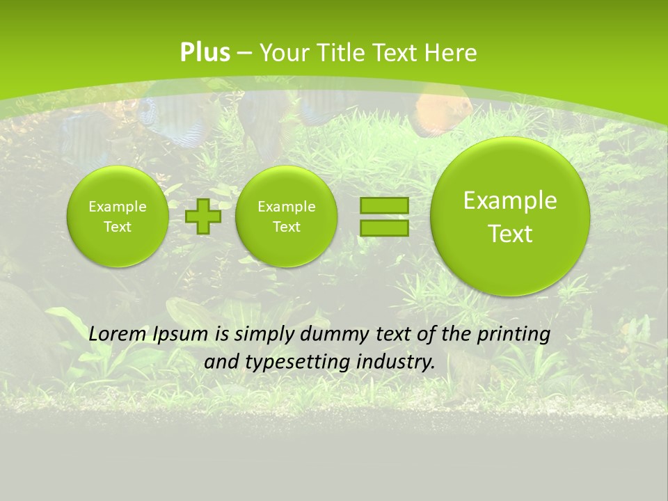 Underwater Fish Bright PowerPoint Template