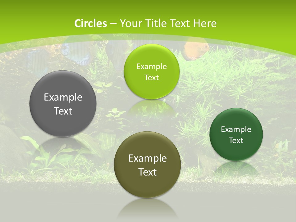 Underwater Fish Bright PowerPoint Template