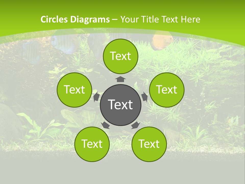 Underwater Fish Bright PowerPoint Template