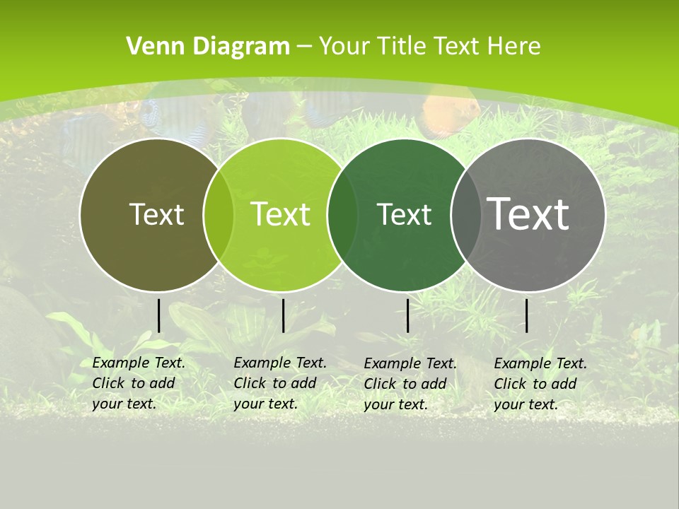 Underwater Fish Bright PowerPoint Template