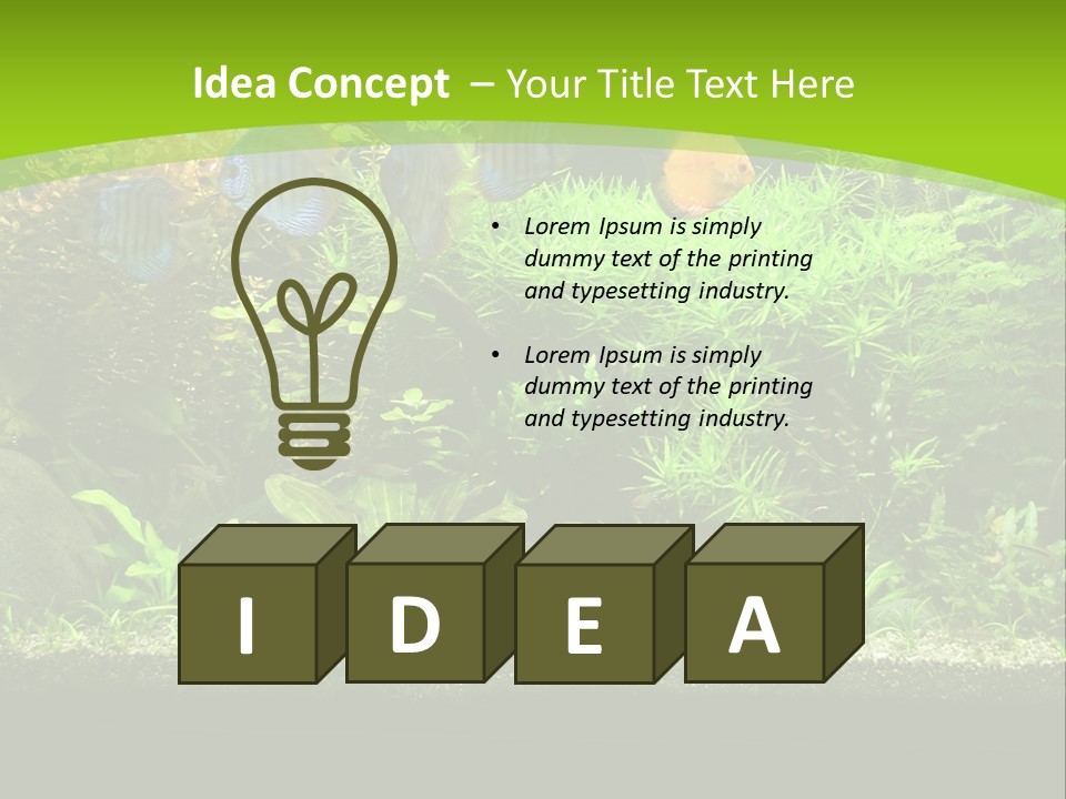 Underwater Fish Bright PowerPoint Template