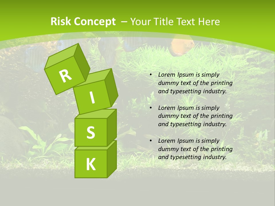 Underwater Fish Bright PowerPoint Template