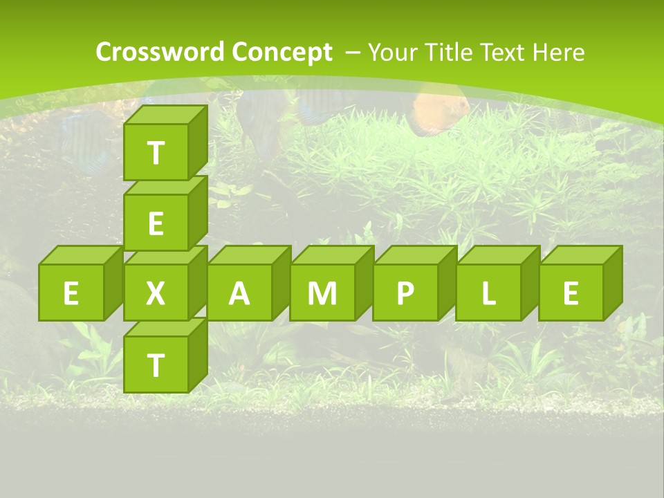 Underwater Fish Bright PowerPoint Template