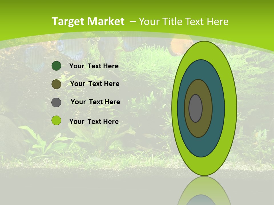 Underwater Fish Bright PowerPoint Template