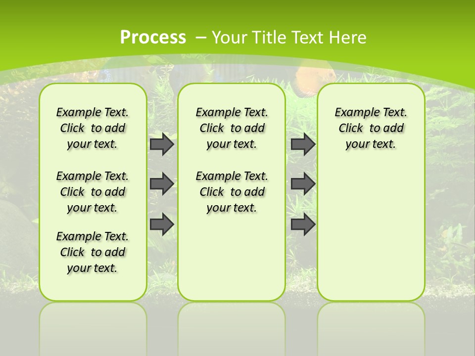 Underwater Fish Bright PowerPoint Template