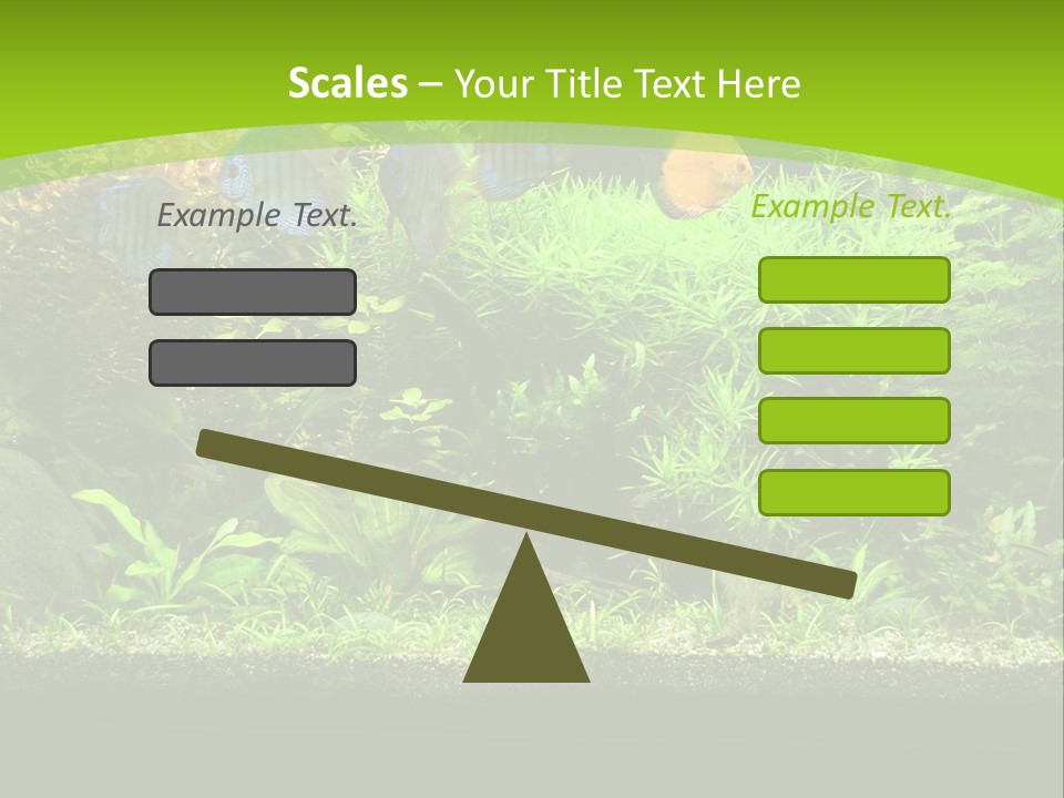 Underwater Fish Bright PowerPoint Template