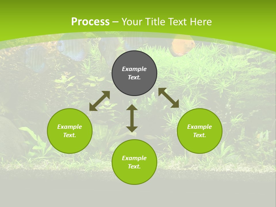 Underwater Fish Bright PowerPoint Template