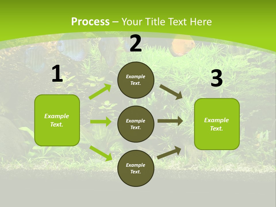 Underwater Fish Bright PowerPoint Template