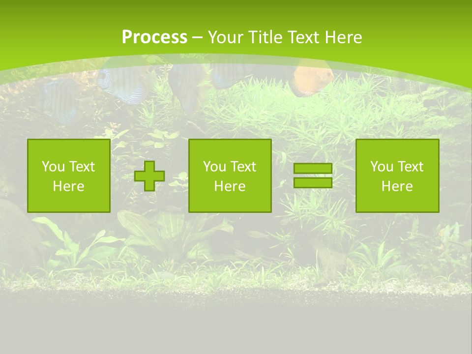 Underwater Fish Bright PowerPoint Template