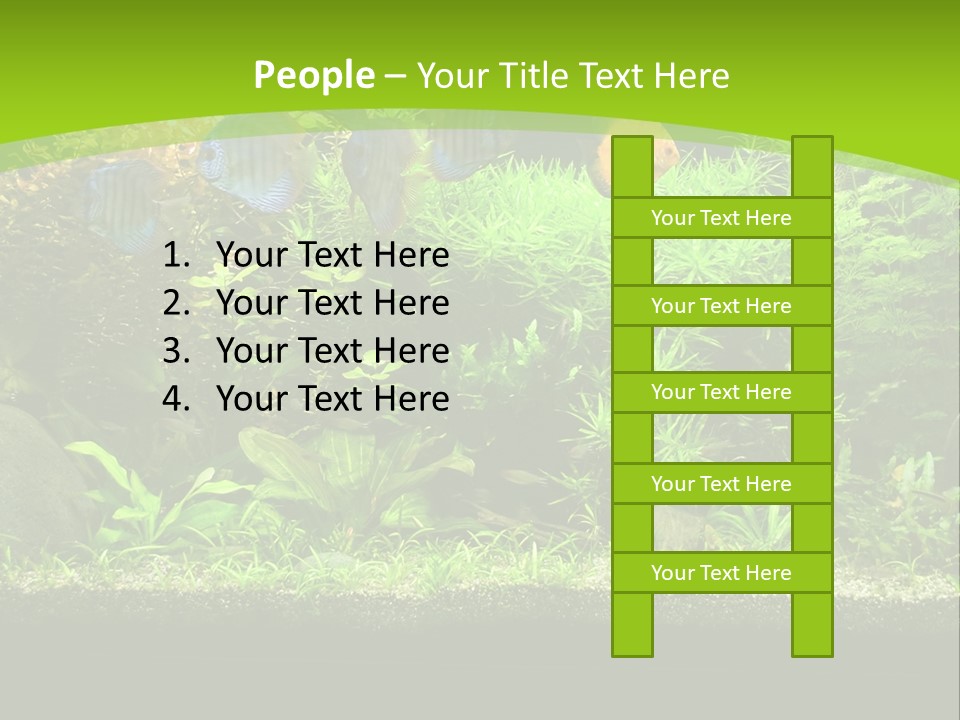 Underwater Fish Bright PowerPoint Template