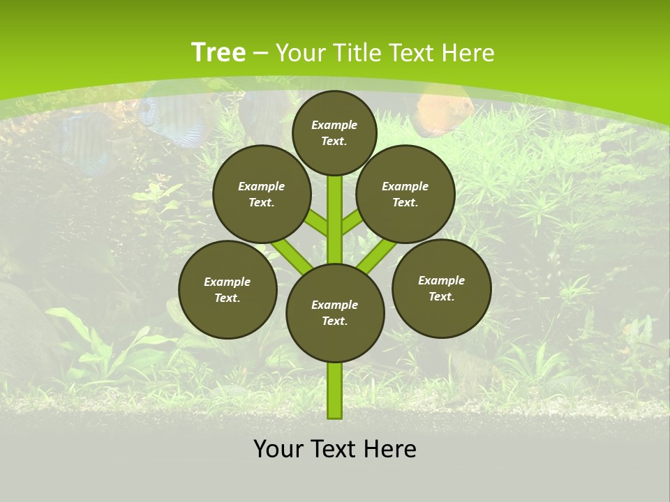 Underwater Fish Bright PowerPoint Template