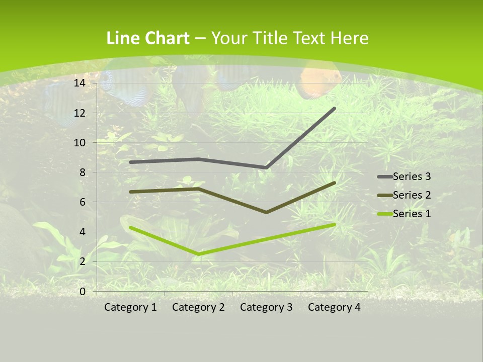 Underwater Fish Bright PowerPoint Template