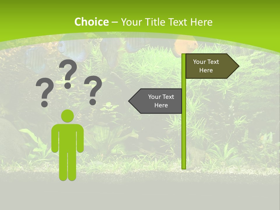 Underwater Fish Bright PowerPoint Template